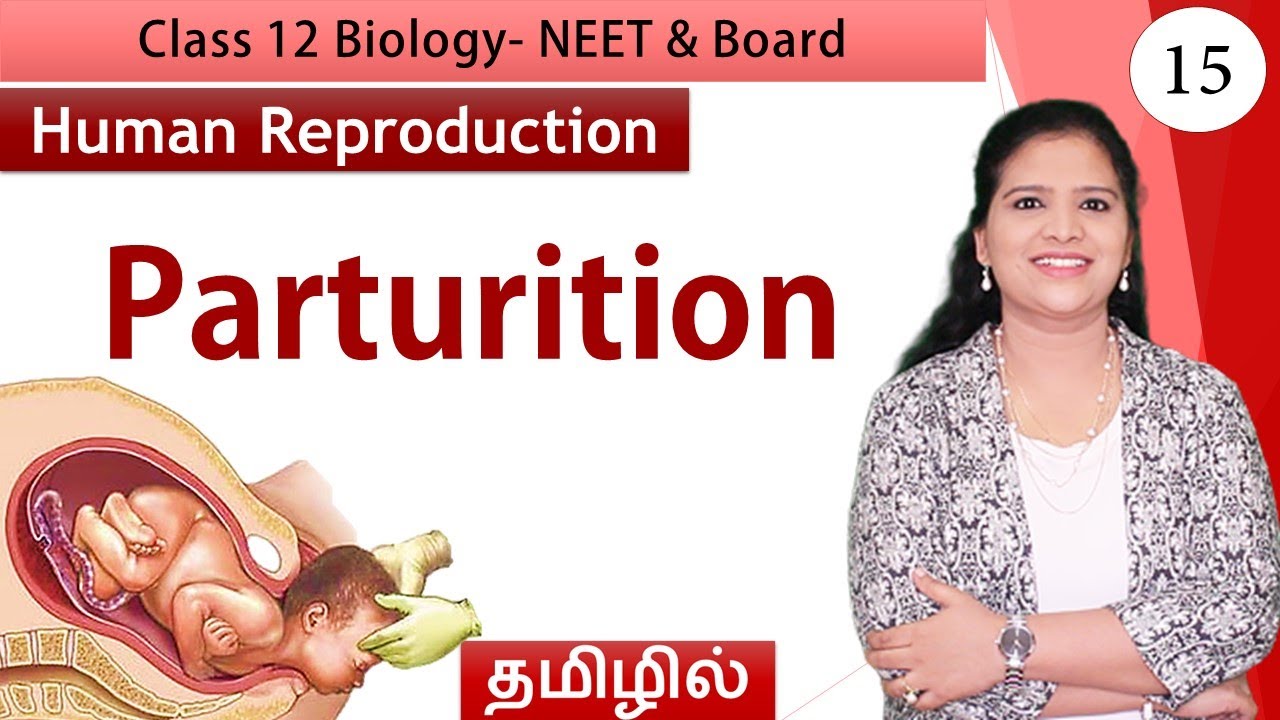 Parturition | Human Reproduction  | Class 12 Biology (தமிழ்)