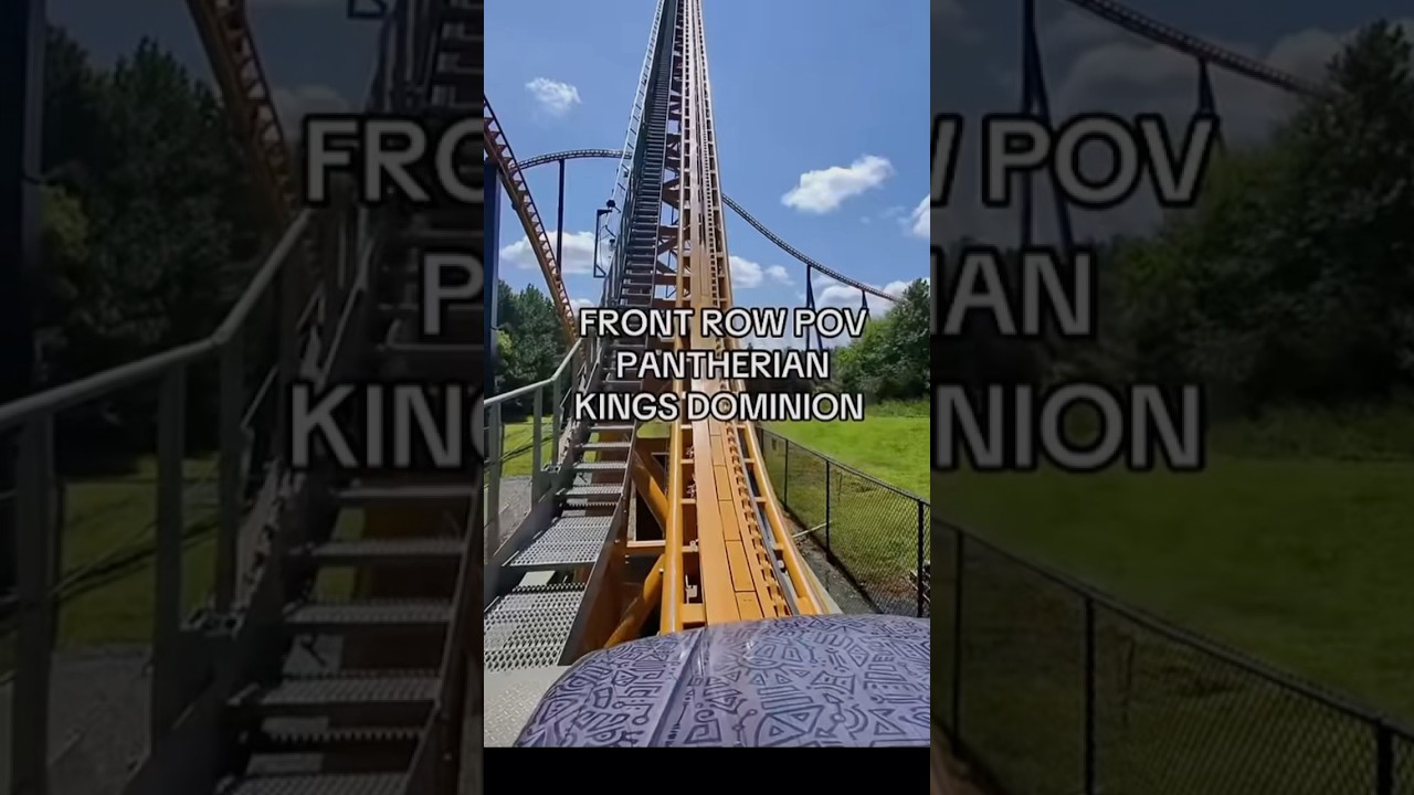 pantherian kings Dominion Front row POV