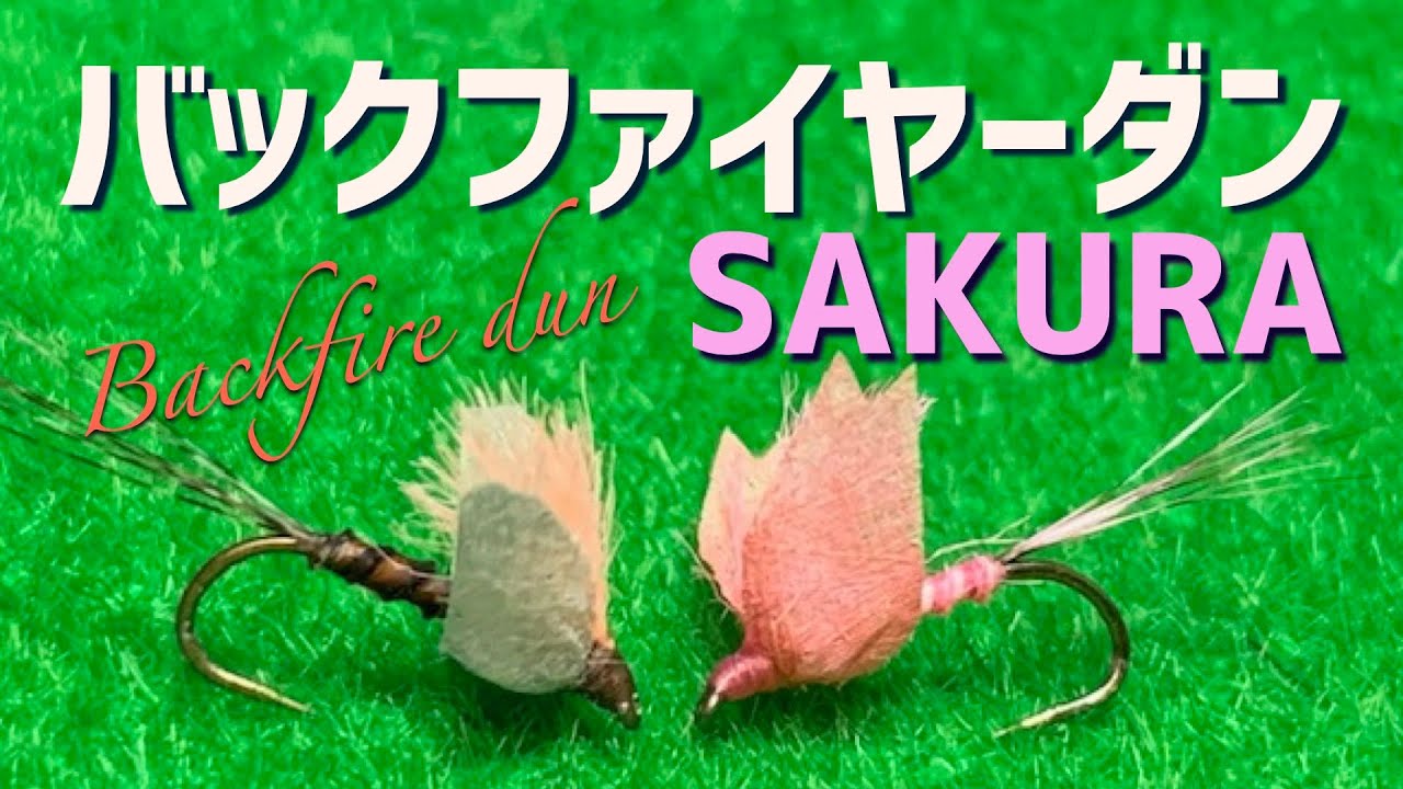 【フライタイイング】バックファイヤーダン　サクラをイメージしたフライのタイイング解説動画です　Tying a back fire dun SAKURA