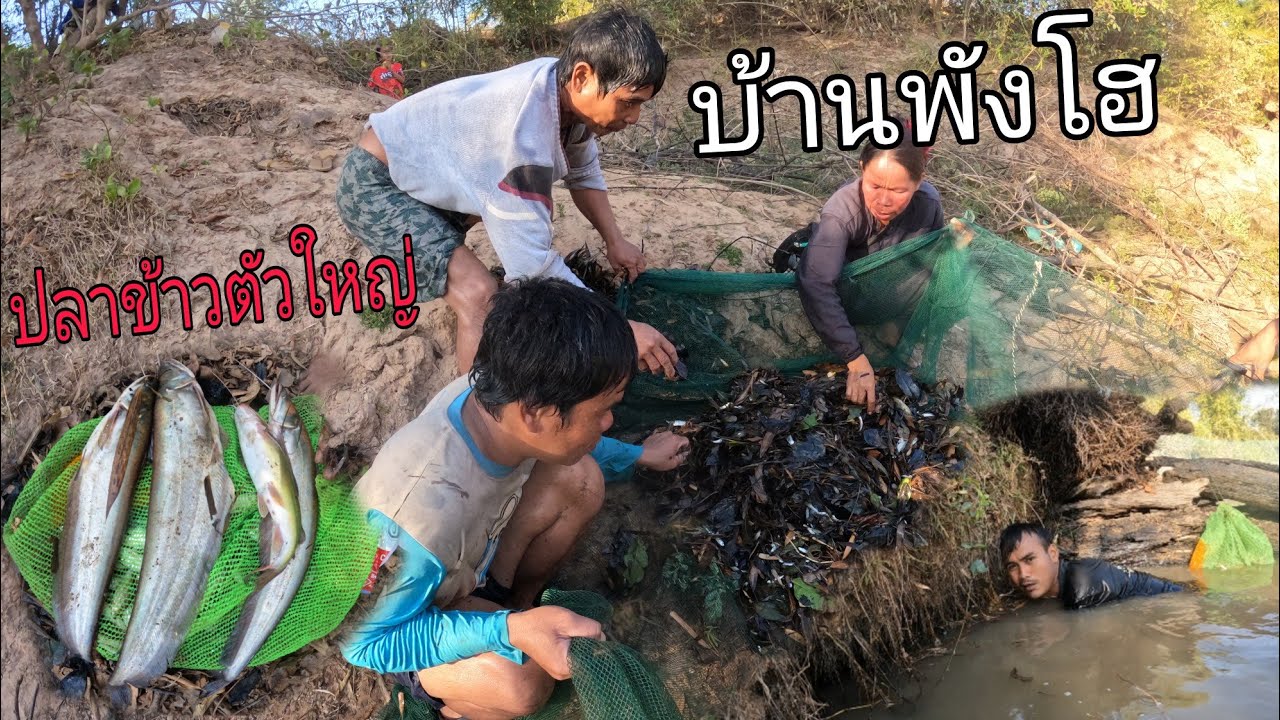 เกิดมาพึ่งเคยเจอ