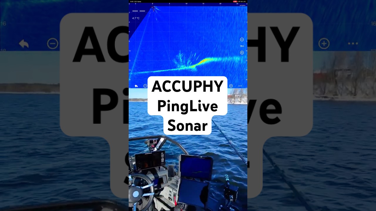 Хорош ли ACCUPHY в деле? #accuphy #pinglivesonar #живувлодке