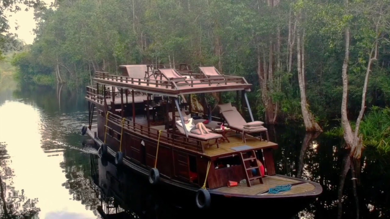 Tanjung Puting, Borneo: Rainforest & River Safari Wildlife Cruise