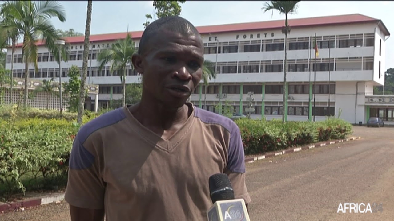 Cameroun, A LA DÉCOUVERTE DE MBALMAYO VILLE COSMOPOLITE