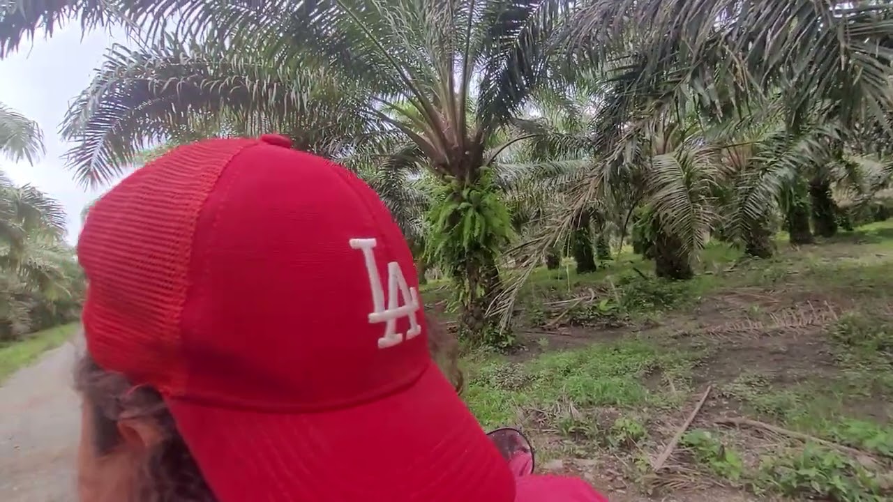 Conociendo cada Rincón de Marañones con las cachirulas♥️Bendiciones para todos 🙏 
