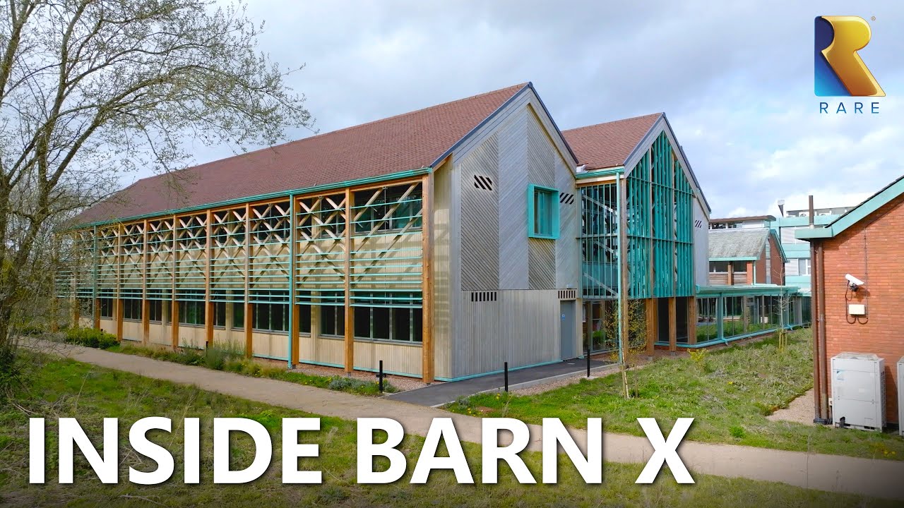 Представляем Barn X
