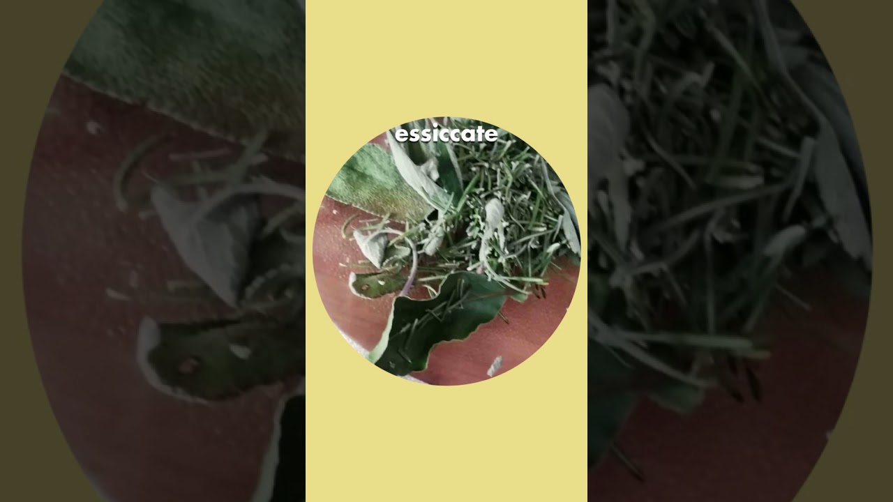 Erbe aromatiche essiccate