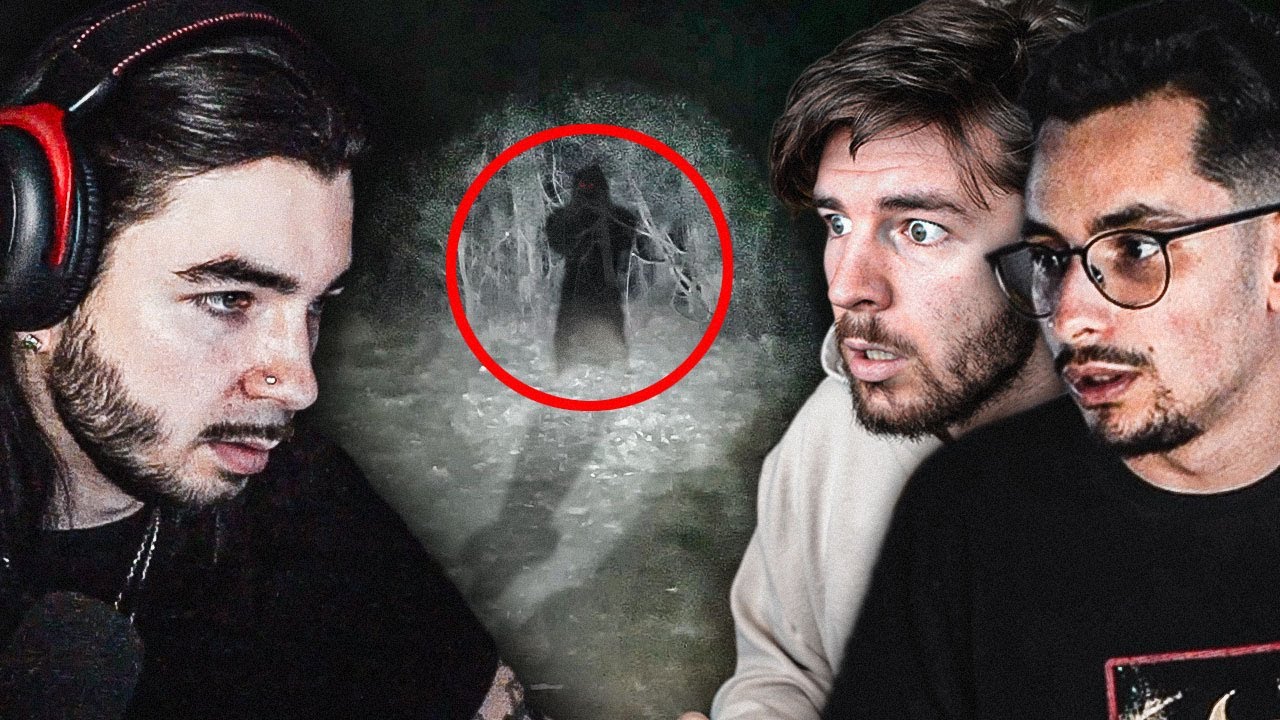 Asta NU am vazut in timpul investigatiei de la Hoia Baciu cu Zappy si Gunso