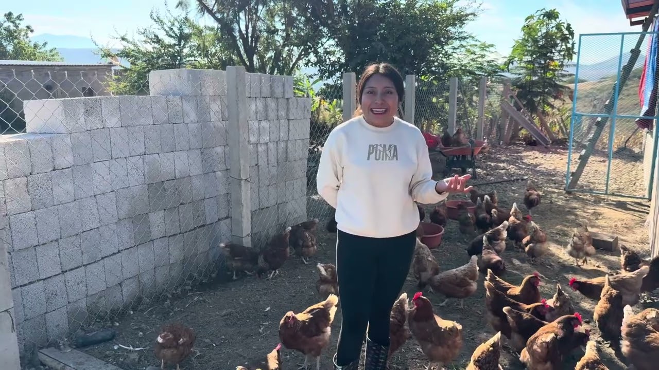 VISITAMOS LA GRANJA  DE POLLOS DE CITLA  SACHEZ EN AYOQUEZCO OAXACA 13 DE NOVIEMBRE  2025