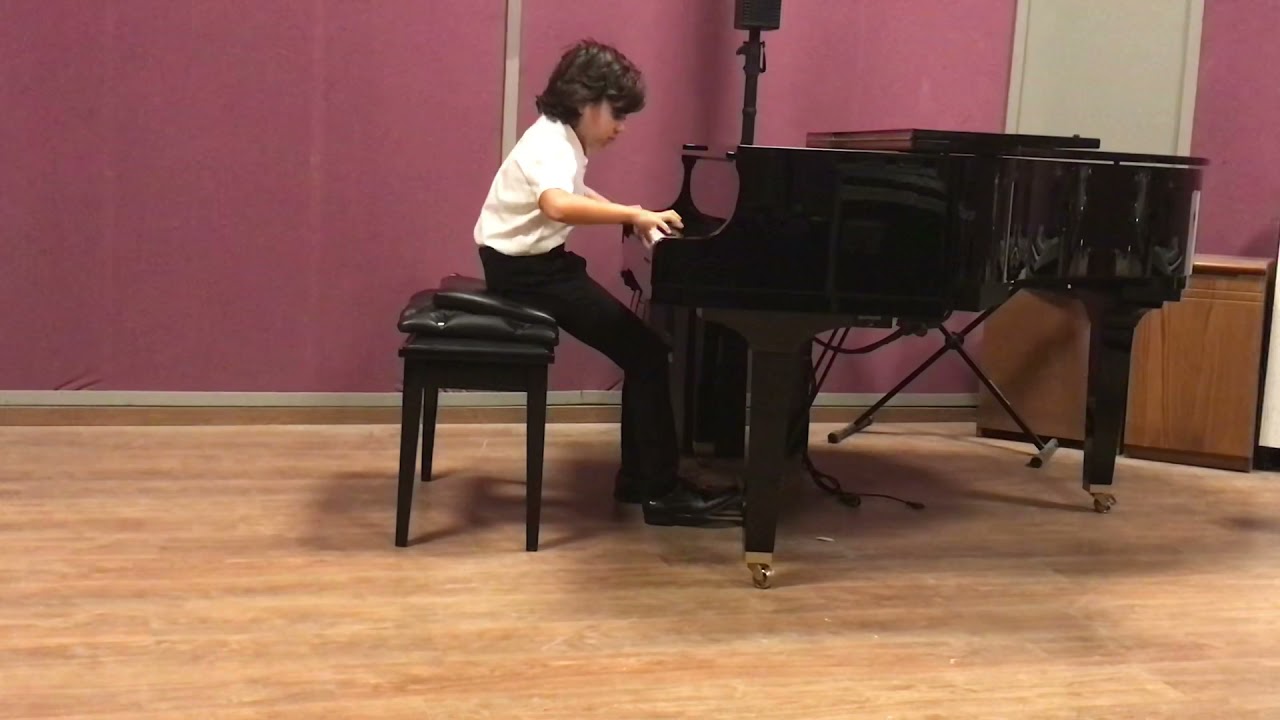 Mozart. Piano sonata in c minor,K457,part 1.