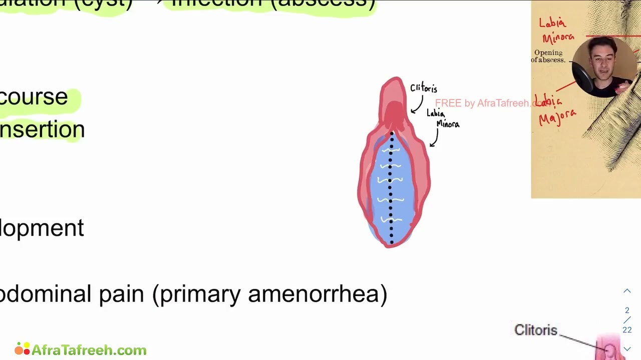 Internal Vaginal Pathology atf