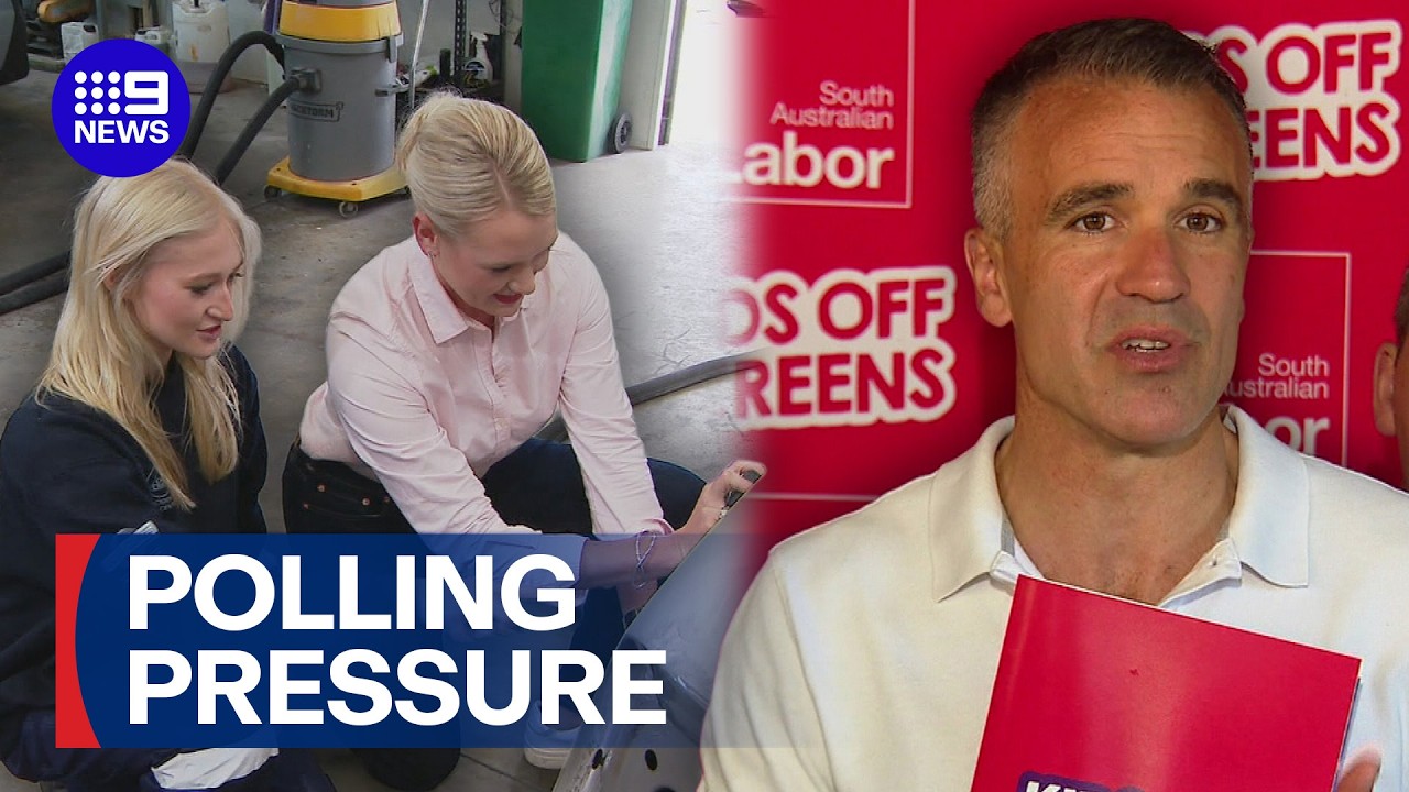 New poll suggests major parties lose votes to One Nation | 9 News Australia