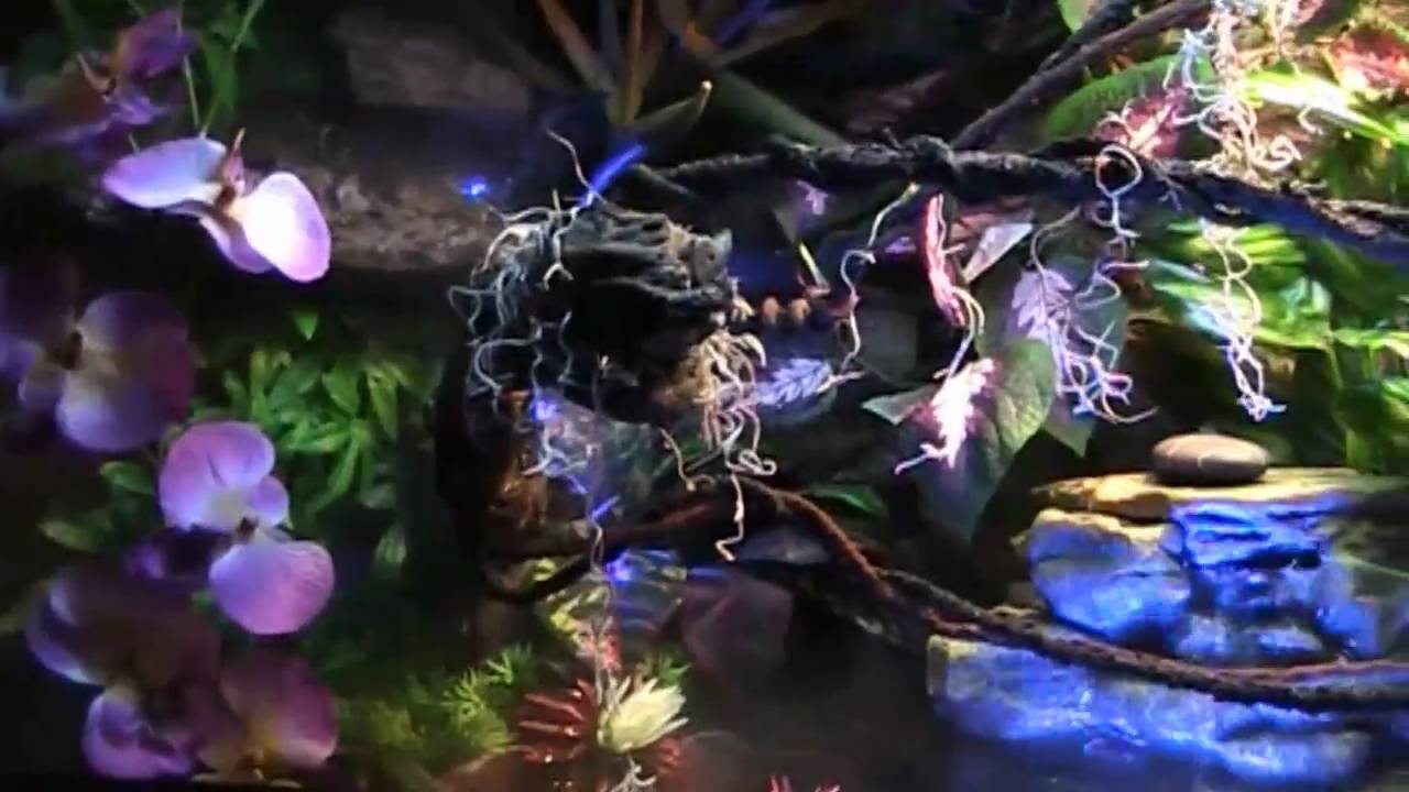 Rainforest Terrarium with Chinese Water Dragon by Jeff Ganz