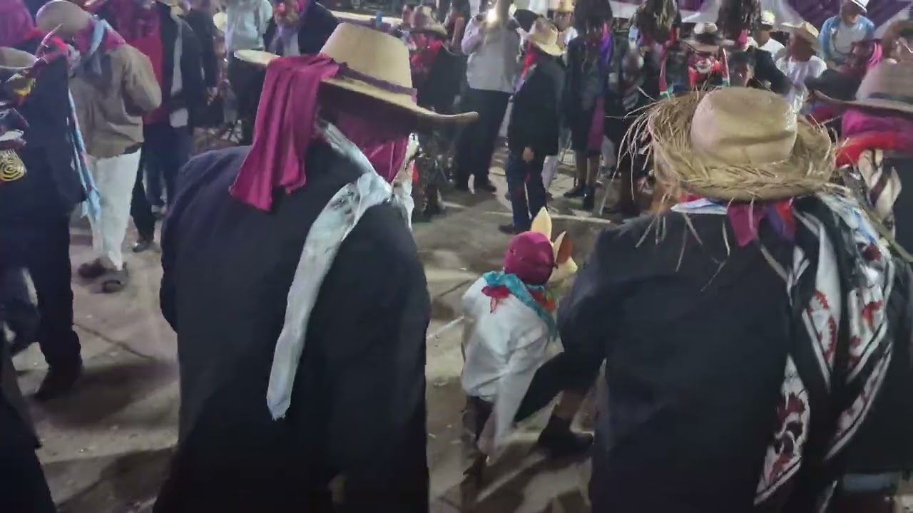 El conejo y el perro, tejorones carnaval 2026