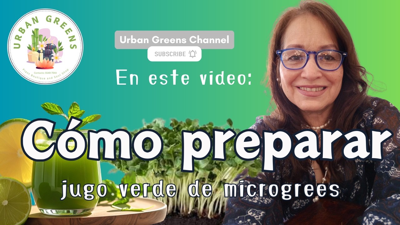 Jugo verde de microgreens de brócoli 🥦🥦🥦