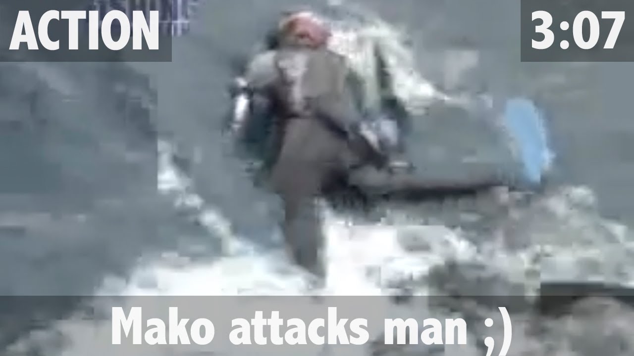 MATT WATSON IN MAKO SHARK ATTACKS MAN!!