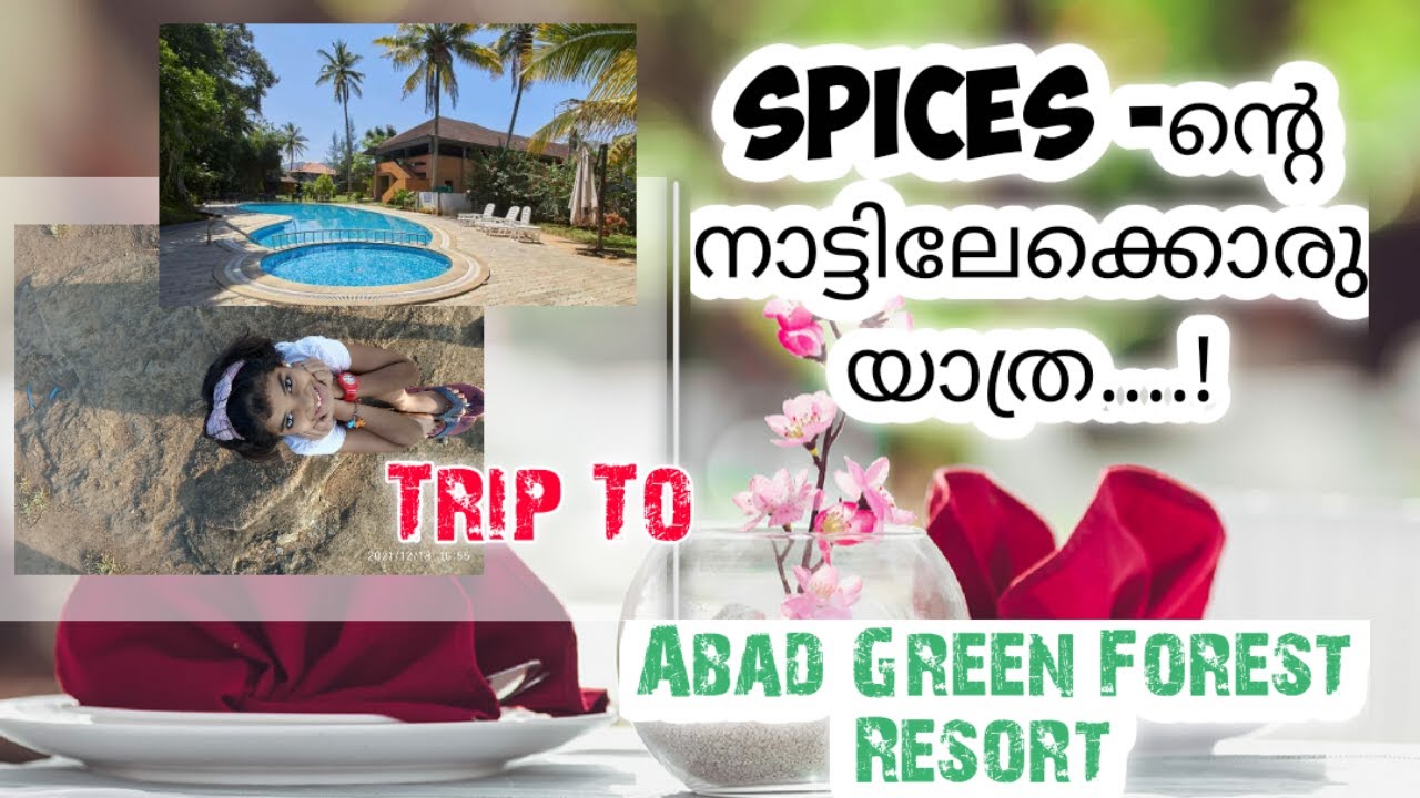 SMALL TRIP TO THEKKADI # ABAD GREEN FOREST RESORT THEKKADI # BEST PLACE TO SPEND  X-MAS VACATION##