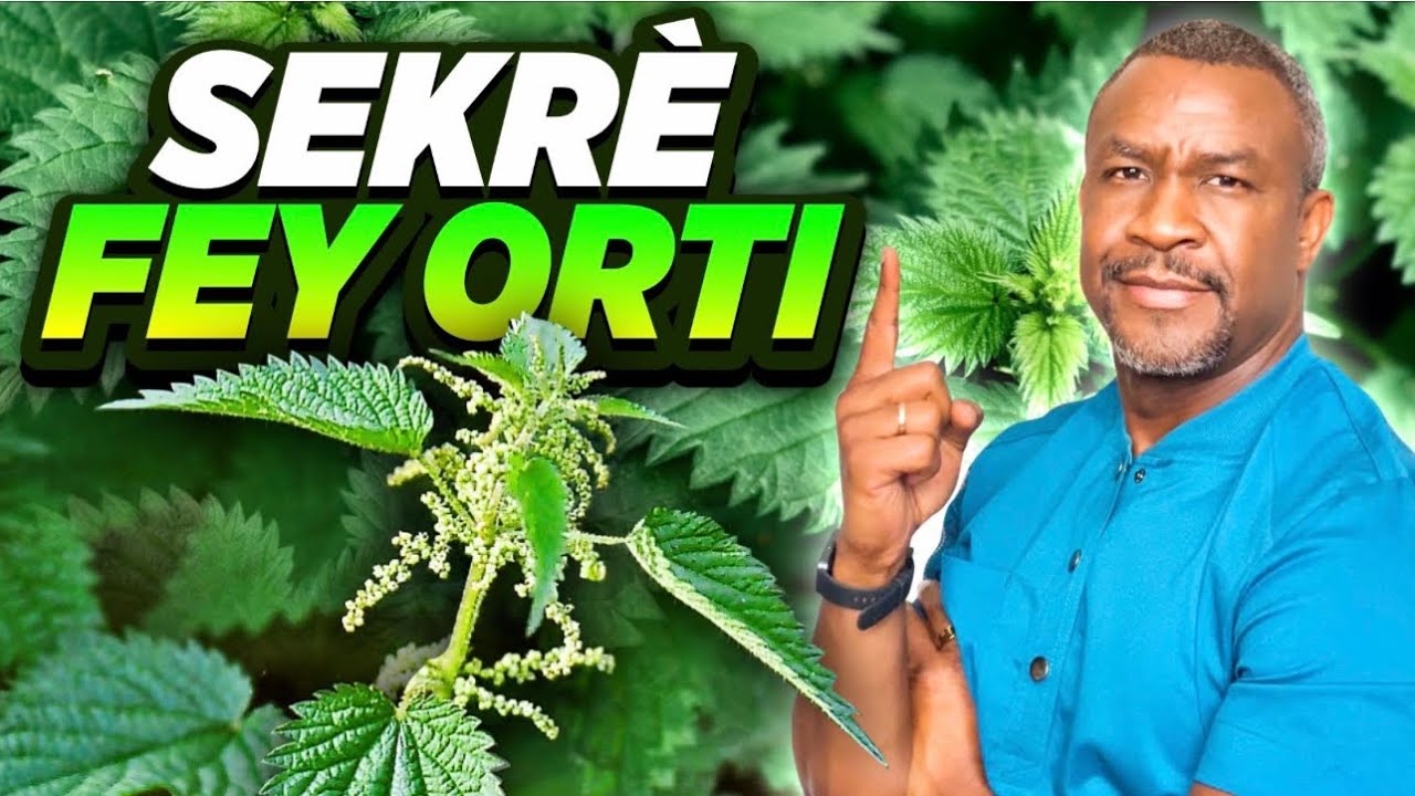 Orti: Yon Plant K W Dwe Konnen.