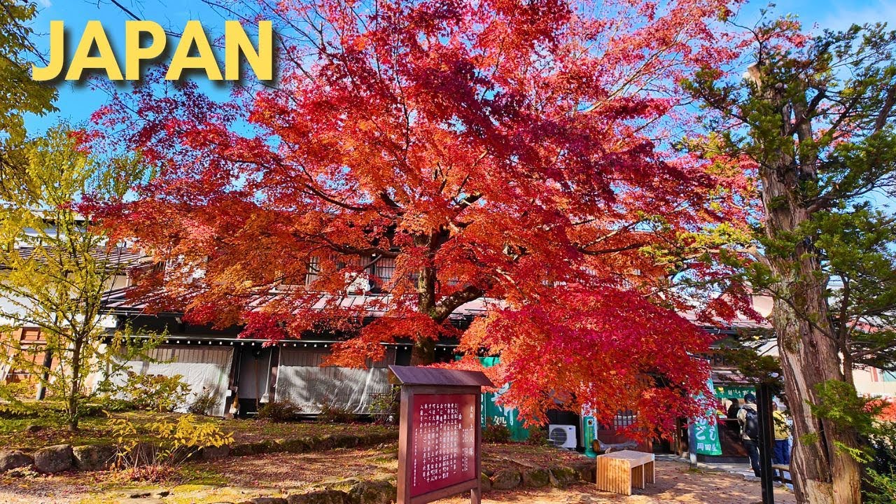 Discovering Hida-Furukawa, A Hidden Gem in Central Japan