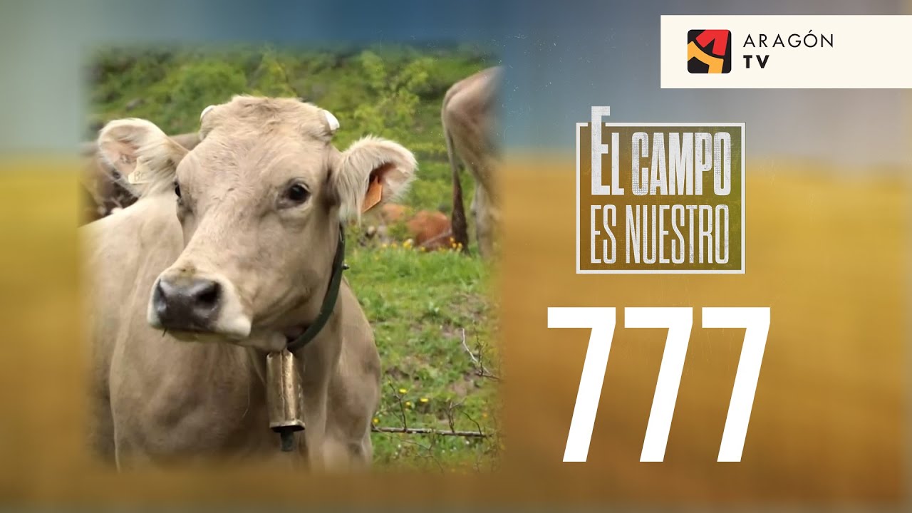 Toño tiene un nuevo ayudante y subida a Gabardito. EL CAMPO ES NUESTRO CAP 777