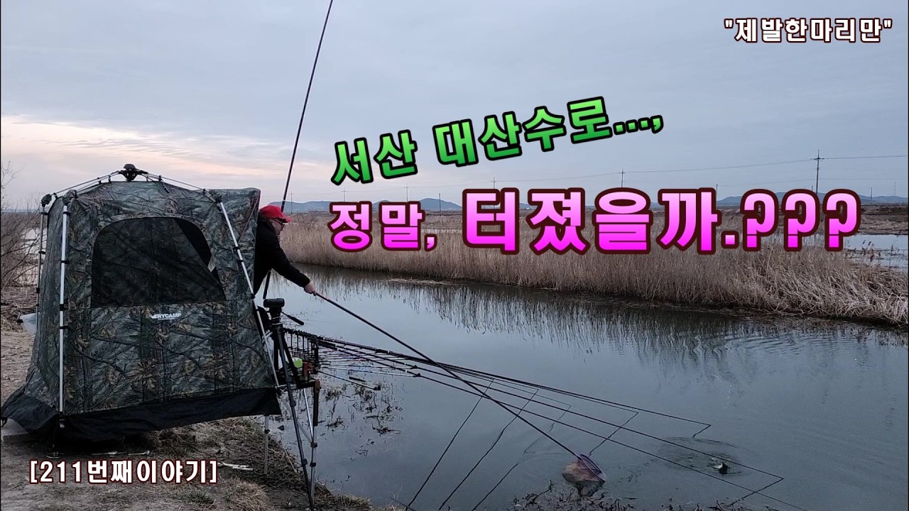 서산 대산수로..., 정말, 터졌을까.??? [211번째 이야기]