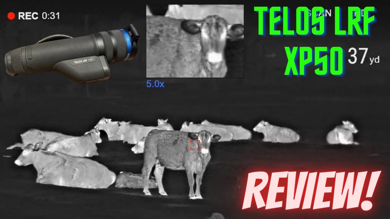 Pulsar Telos LRF XP50: новый любимый монокуляр?