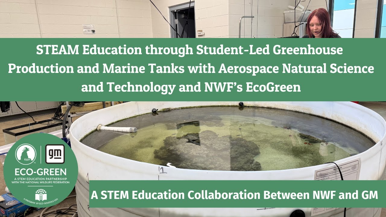 Aerospace Natural Science & Technology Elementary