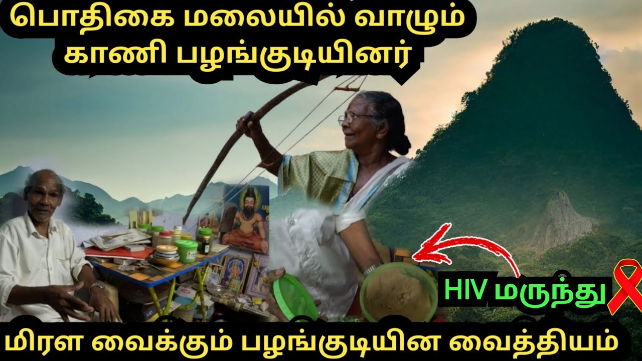 பொதிகை மலை|அறிவியலை மிஞ்சும் காணி பழங்குடியின வைத்தியம்|agasthiyar hills