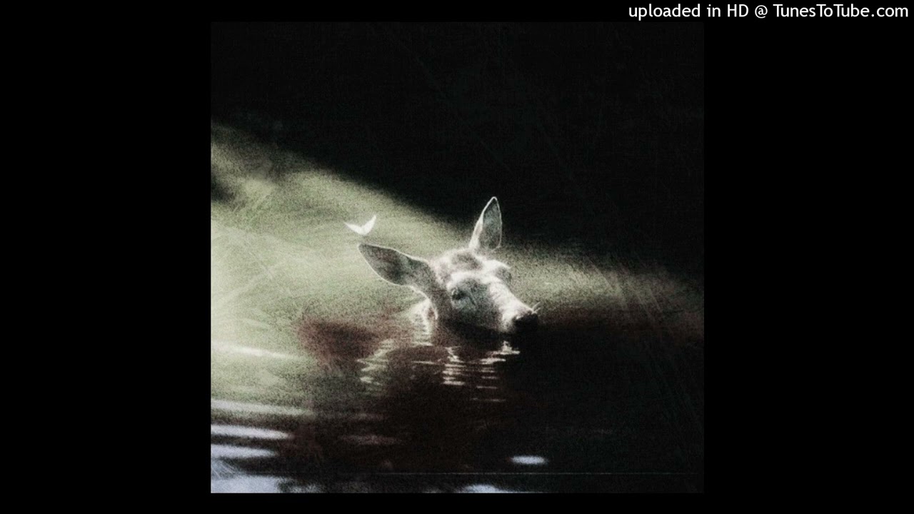 collapse - deftones + quannnic type beat