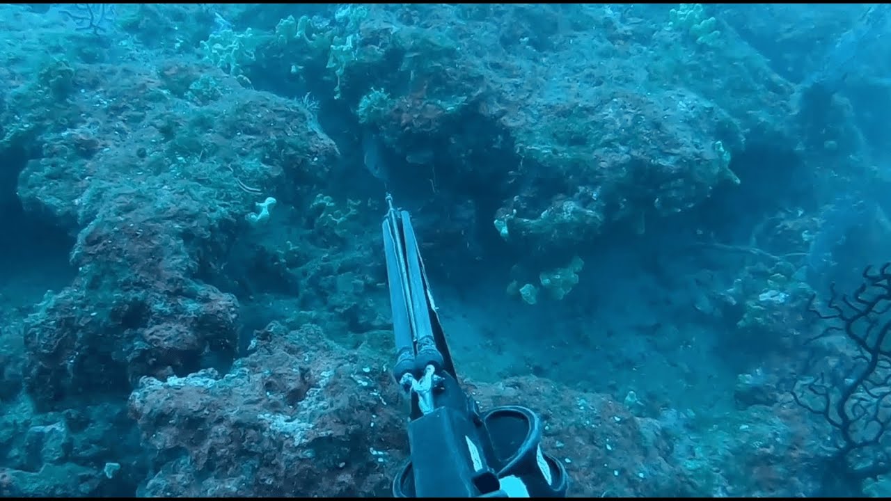 BEYOND 40M: 