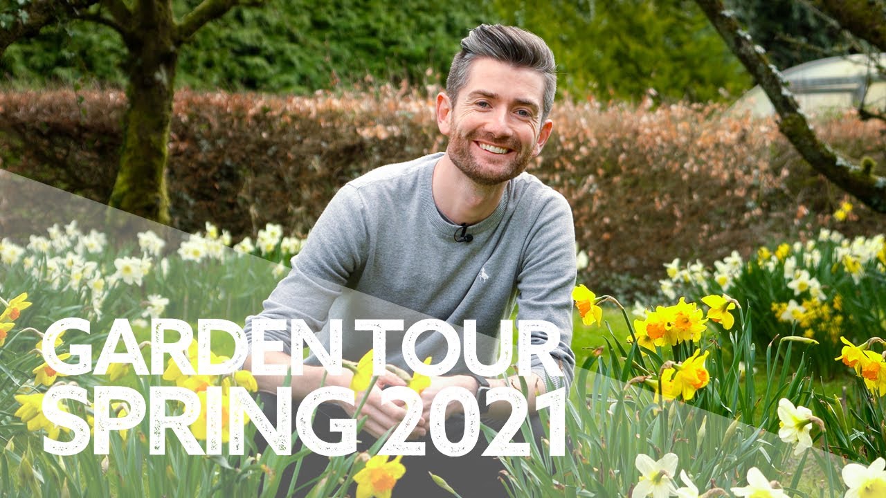 Spring Garden Tour | My Irish Country Garden in March