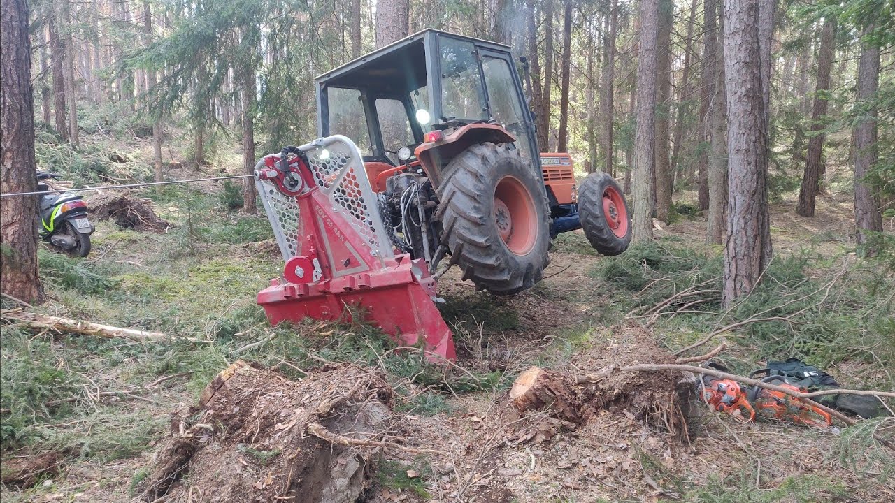 🌲Forstarbeit🌲 Aufarbeitung von Sturmholz mit Taifun Seilwinde