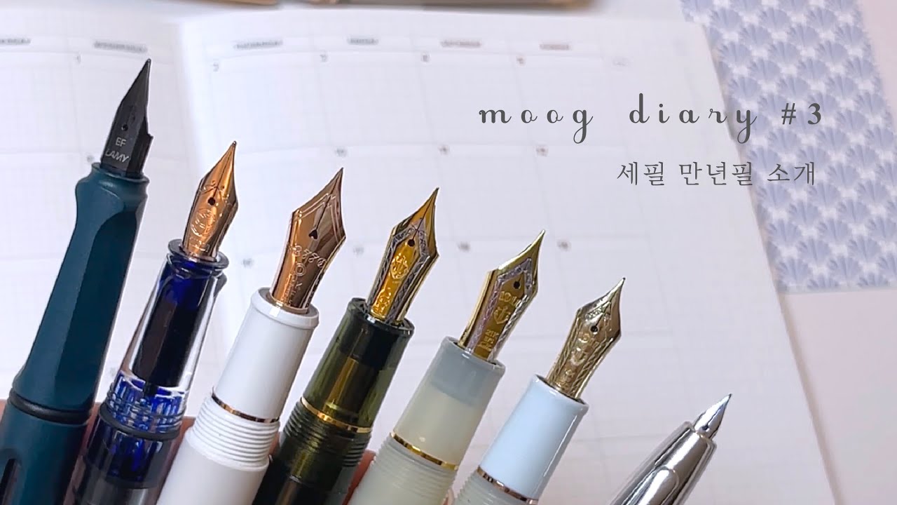 [무그어리] 가지고 있는 세필 만년필 비교하기🖋️ ㅣ 라미, 트위스비, 센츄리, 세일러, 파이롯트