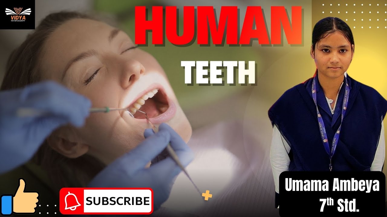 Detail about Human Teeth | By Umama Ambeya 