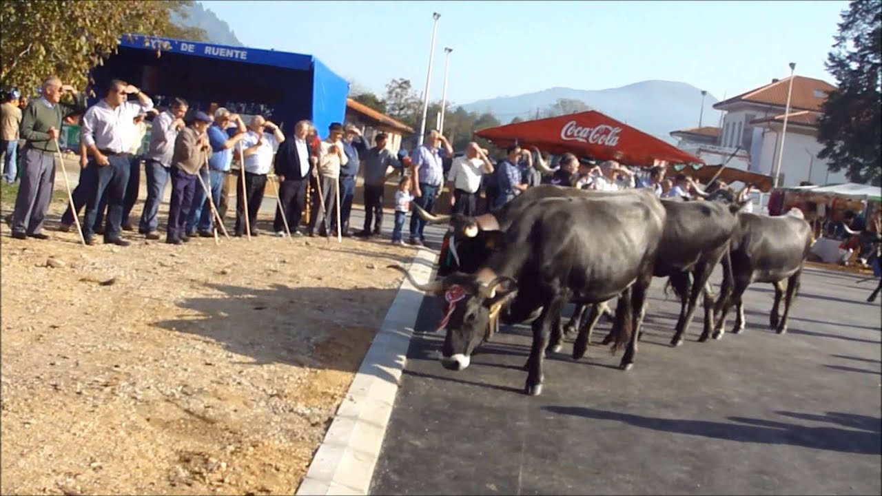 Camping el molino de Cabuerniga y Ruente