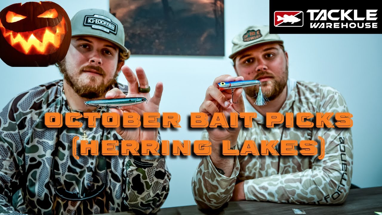 Our TOP baits for OCTOBER (Herring lake)
