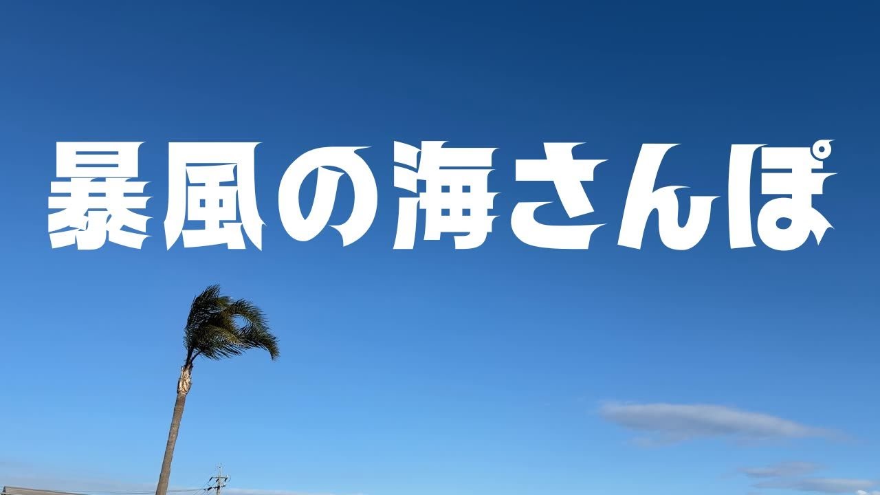 海さんぽ🐾🎵暴風の、朝ウォーキング🚶