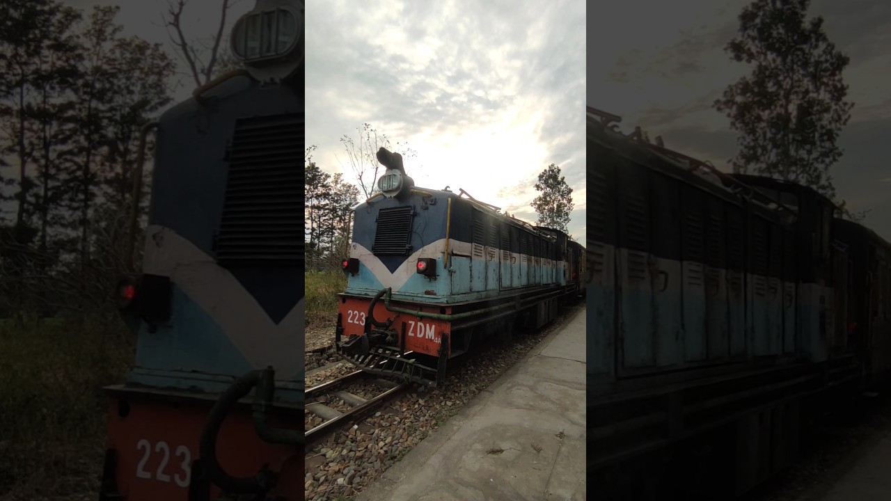 ZDM4A Narrow Gauge Locomotive