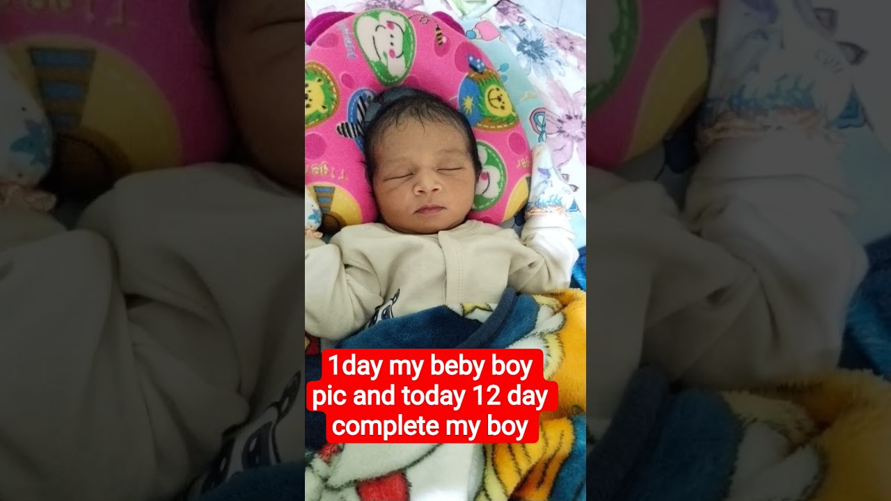 #1 day to 12 day my beby jurnay