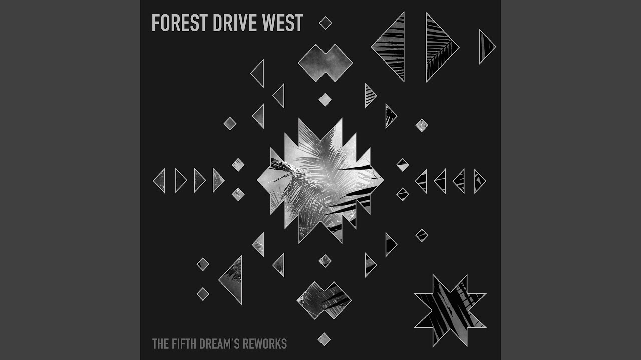 Night in Palmtree (Forest Drive West Rework)