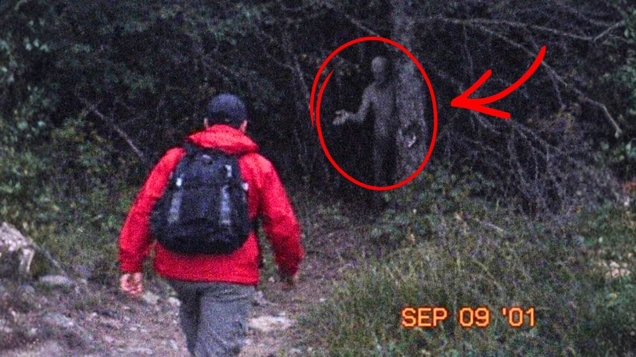 What’s Luring People Of Trail Without Fear?