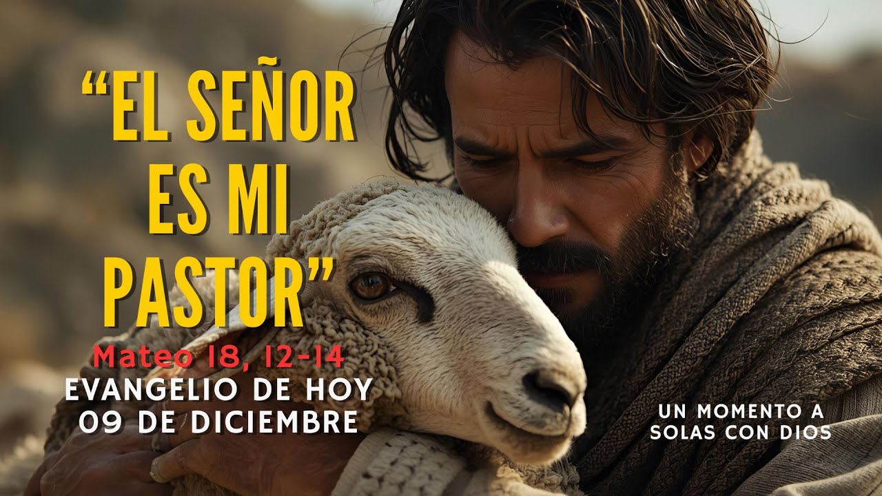 🙏La OVEJA PERDIDA: por qué Dios NUNCA se rinde contigo | Evangelio Dic 9 | Mt. 18, 12-14 🙏