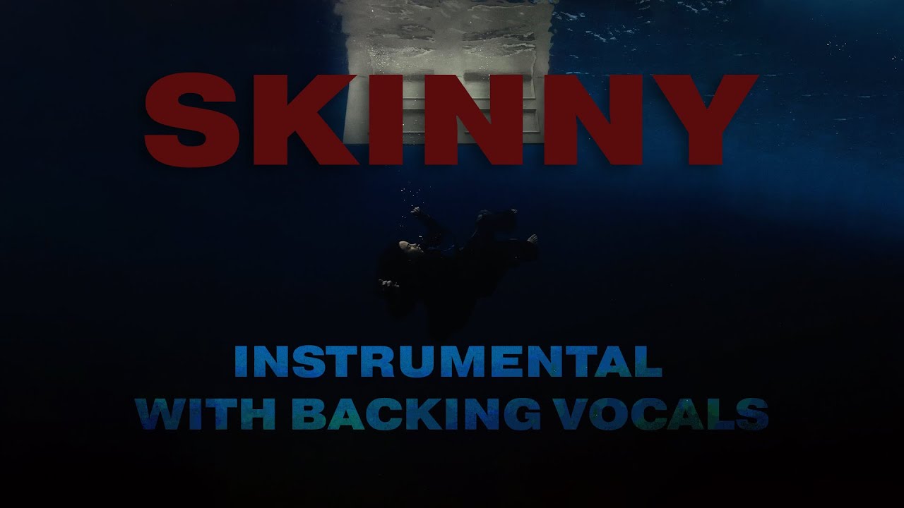 Billie Eilish - SKINNY (Instrumental WIth Backing Vocals)