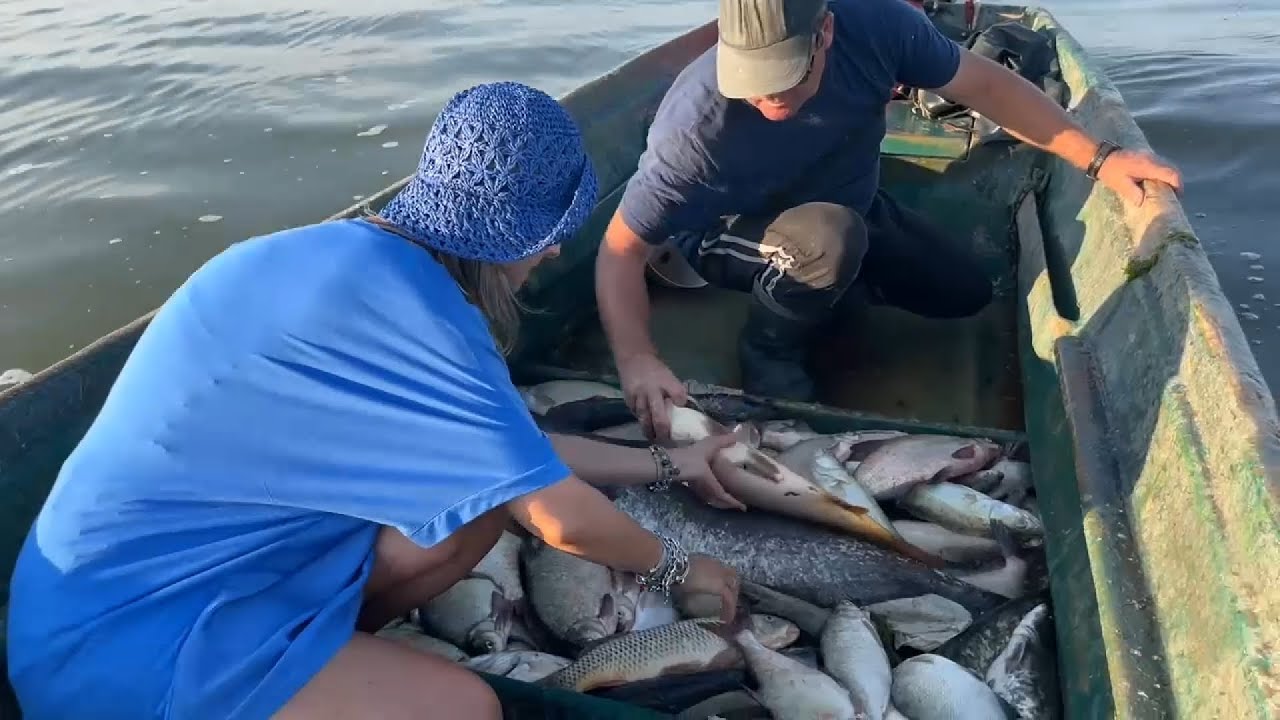 Drumul peștelui, din baltă în farfurie. Pescarii din Delta Dunării se plâng de capturi tot mai mici