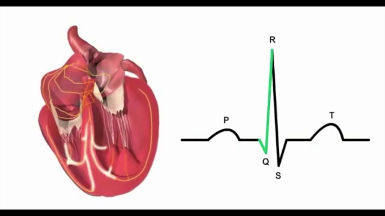 CTCAG Part 5 ECG gating