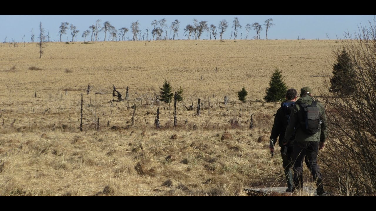 Walking series -  Haute Fagne