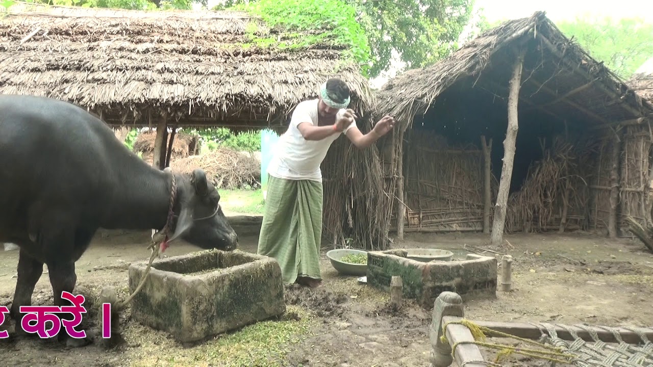 Ka Lutawan Thheka Liha Hain_का लुटावन ठेका लिहां हैं !