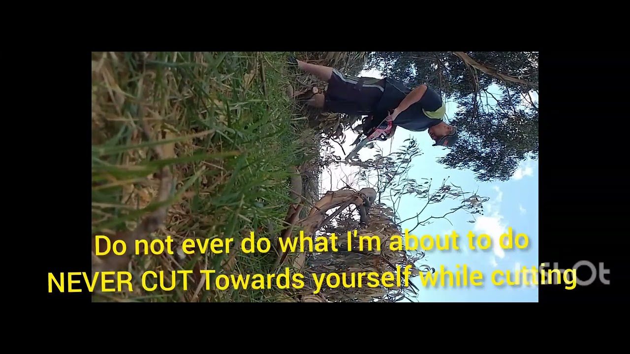 Mongrel-Tv : product review, Morrison 45cc euv chainsaw.