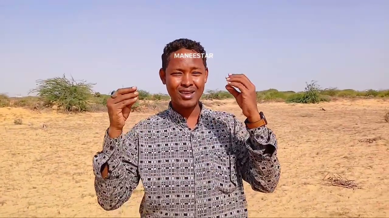 dhul darmooleey