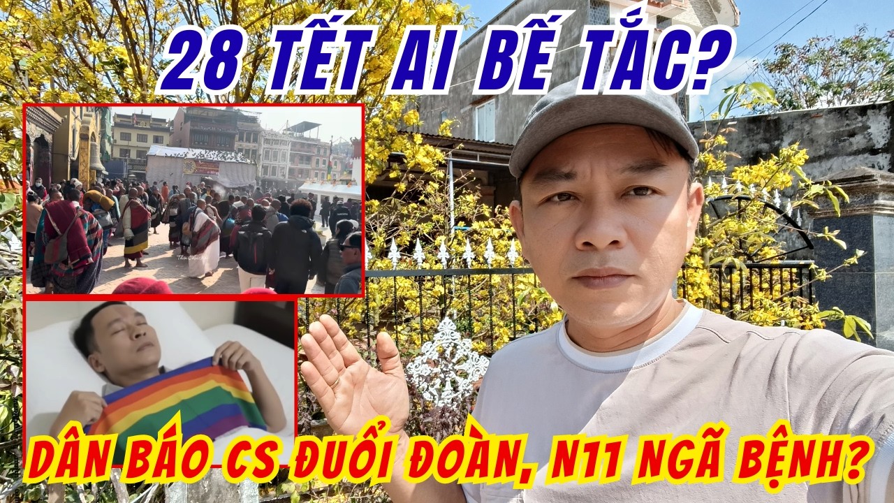 TIN THÊM TỨC đang phát trực tiếp!