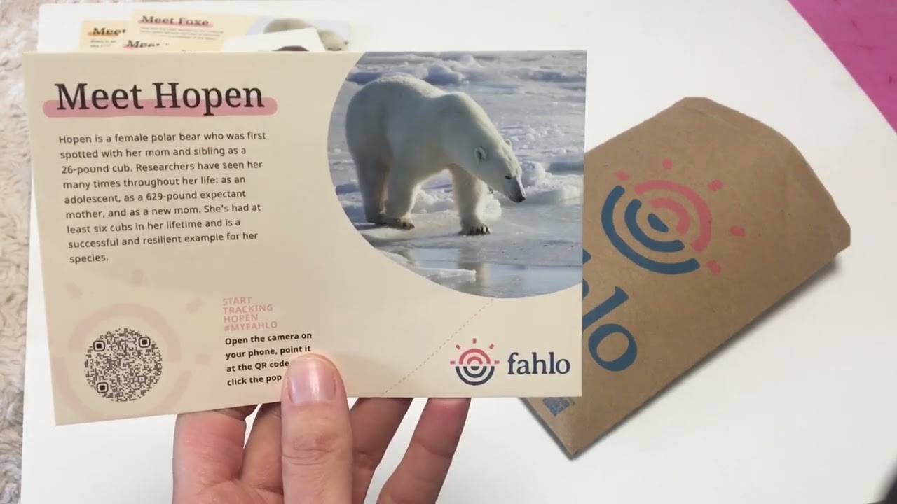 Fahlo bracelets opening and review-track rescued animals!